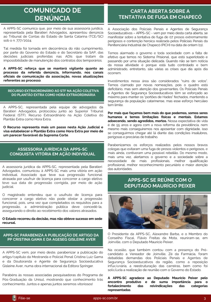 3ª edição – página 3